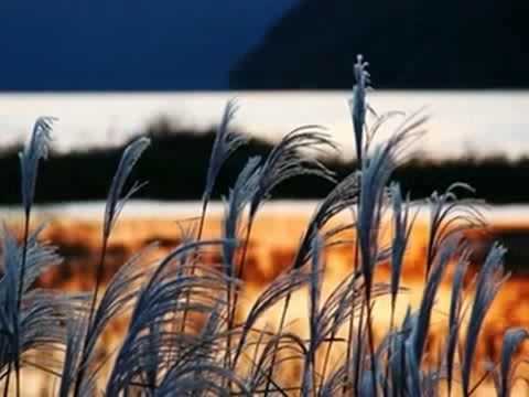 Youtube: Purcell - "When I am laid in earth" & "With drooping wings" / Evelyn Tubb