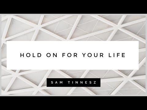 Youtube: Sam Tinnesz - Hold On For Your Life (Official Lyric Video)