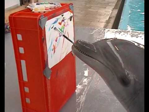Youtube: Amazing Dolphin Painting | MUST SEE!!