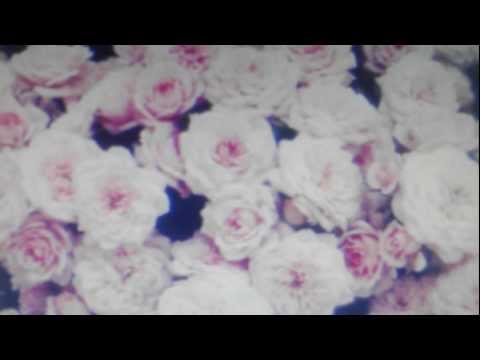 Youtube: Crystal Castles "VIOLENT YOUTH" Official