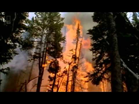 Youtube: National Geographic:  The Final Prophecy NIBIRU