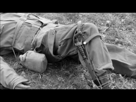 Youtube: Der fremde Soldat ( Ludwig Hirsch )
