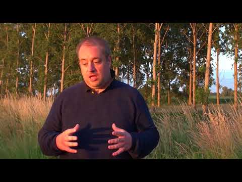 Youtube: Robbert van den Broeke Predicts Largest Crop Circle Ever in the Netherlands