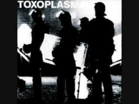 Youtube: Toxoplasma - Asozial