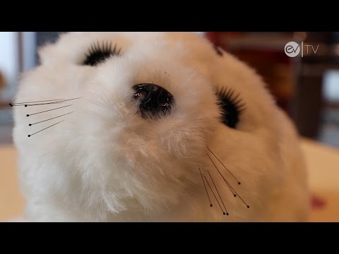 Youtube: Zum Knuddeln: Roboter-Robbe Paro begeistert Demenzkranke
