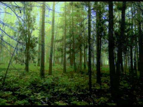 Youtube: Lakota Mother Earth Song