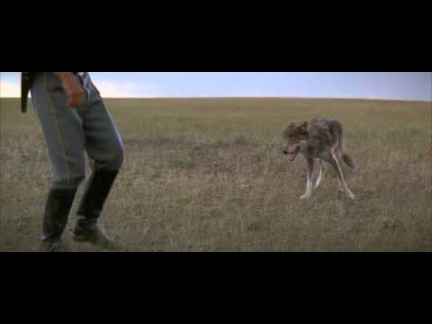 Youtube: Dances with Wolves (1990) - Two Socks Scene