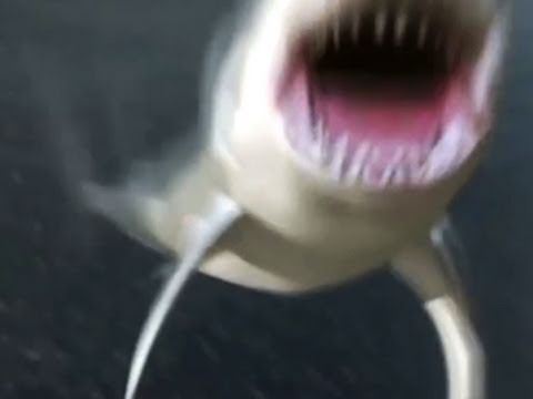 Youtube: Mega Shark vs Giant Octopus - Official Trailer