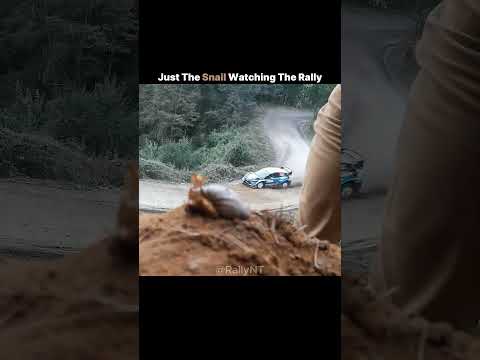 Youtube: WRC Fans Can’t Believe This Surprise Visitor!