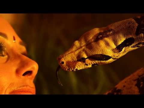 Youtube: Official Video von www.schlangentanz-freiburg.de