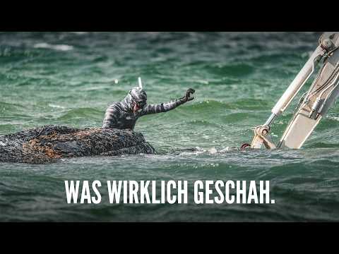 Youtube: Die Wahrheit über Wal "Timmy" und warum er wahrscheinlich sterben muss