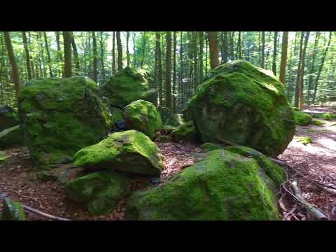 Youtube: Walk & Talk  #4