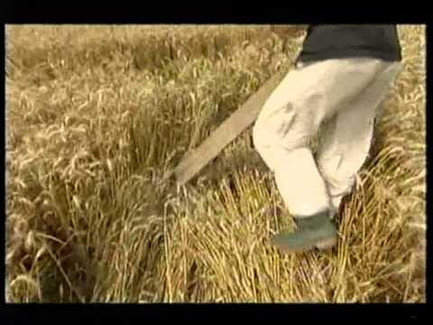 Youtube: Roves Farm BBC competition crop circle
