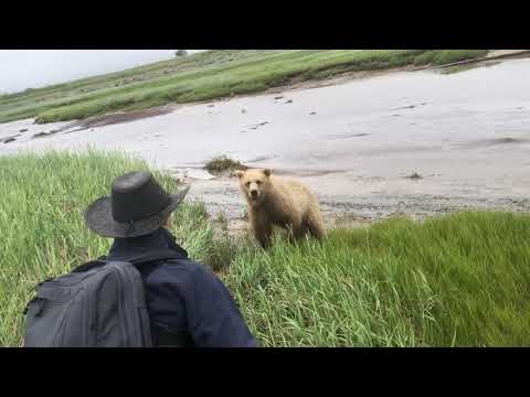 Youtube: Grizzly Bear Charge in Remote Alaska
