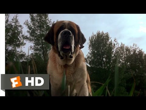 Youtube: Cujo (1/8) Movie CLIP - A Bat Bites Cujo (1983) HD