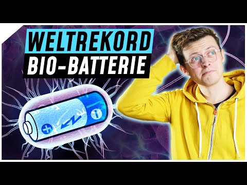 Youtube: Diese Batterie wird mit Bakterien betrieben | Breaking Lab