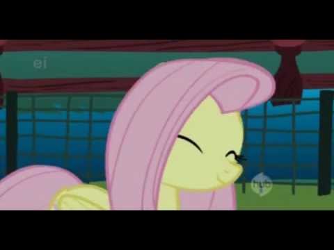 Youtube: (PMV) Fluttershy's Lament