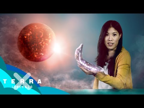 Youtube: Entstand so das Leben? Die RNA-Welt | Mai Thi Nguyen-Kim