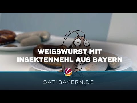 Youtube: Weißwurst mit Insektenmehl? Bayerns Klassiker neu gedacht