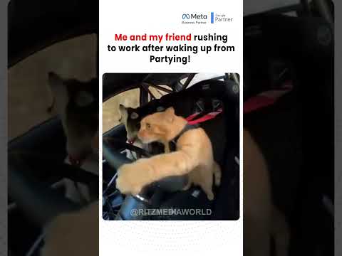 Youtube: You Remember You Have a Job After the Party #workmemes #relatablememes  #corporatelife #ytshorts