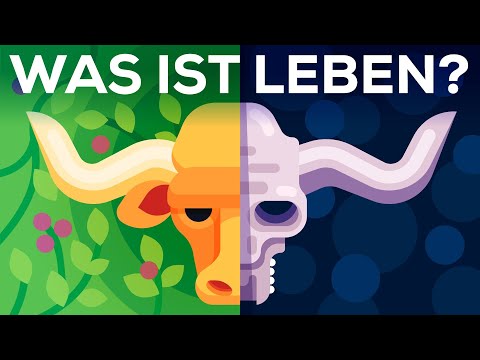 Youtube: Was ist Leben? Ist der Tod real?