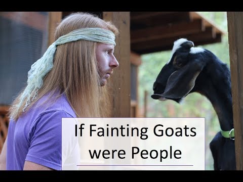 Youtube: If Fainting Goats were People - Ultra Spiritual Life episode 75