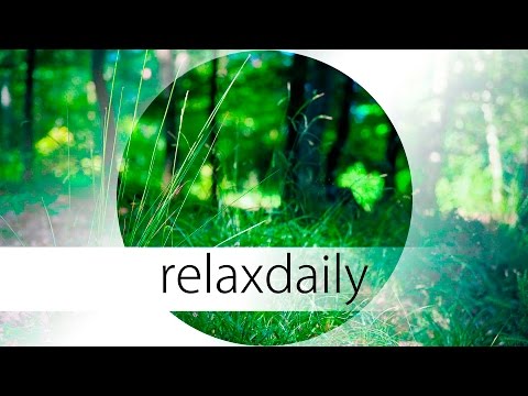 Youtube: Slow and Peaceful Music - calm, reflective - N°046 (4K)