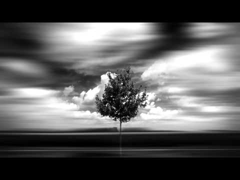Youtube: Hydrangea - Forest floor