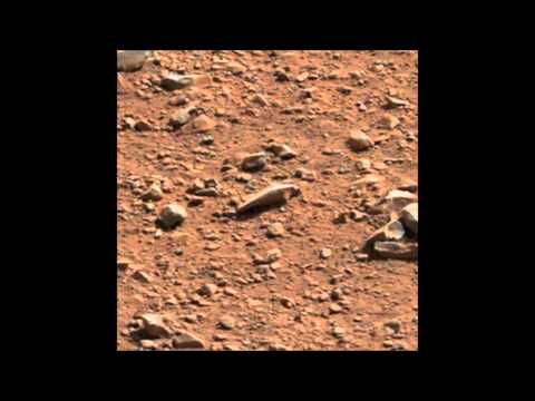 Youtube: Mars fish fossil.wmv
