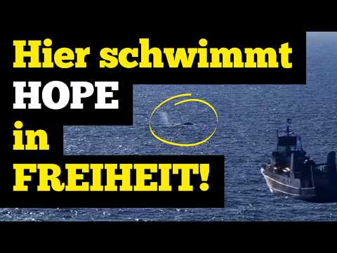 Youtube: Hier schwimmt HOPE in FREIHEIT!