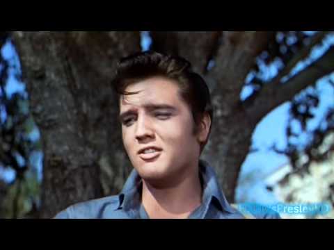 Youtube: Elvis sings Gotta Lotta Living To Do (2K HD)