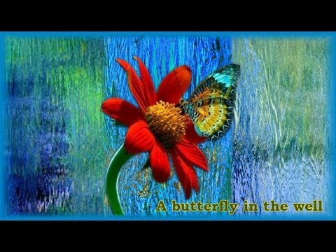 Youtube: A butterfly in the well ♪ ♫ ♥ :: Daya Rawat