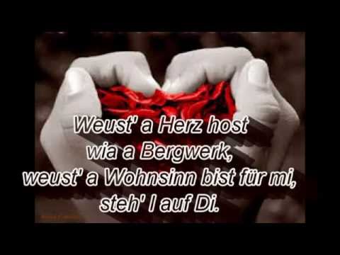 Youtube: Weus'd a Herz host wia a Bergwerk - Rainhard Fendrich(lyrics)