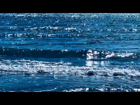 Youtube: Sparkling Ocean Waves on Shore | Sea Sounds & Sunlit Ripples | 1 Hour Ambience