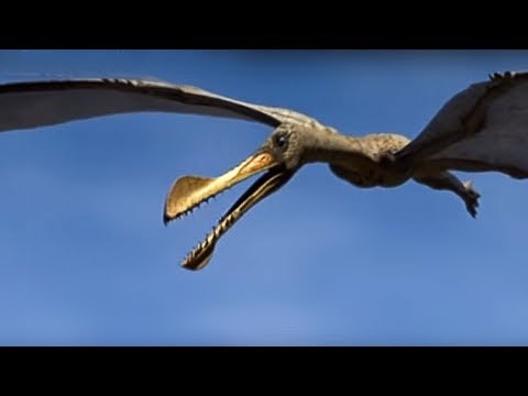 Youtube: King of the Skies | Walking with Dinosaurs in HQ | BBC Earth