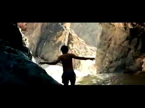 Youtube: Into the wild [Trailer -  deutsch]