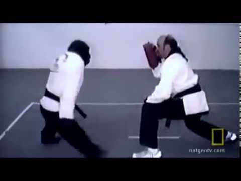 Youtube: Chimp learns martial arts