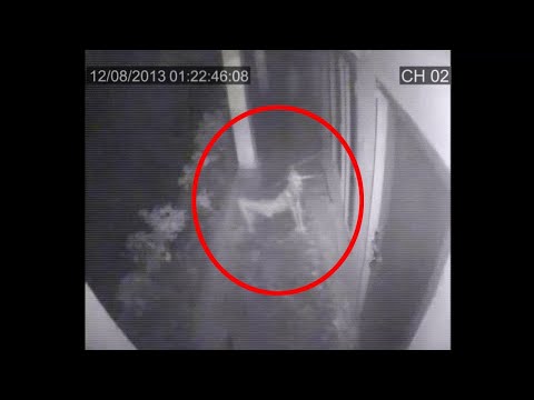 Youtube: Shocking CCTV Ghost Footage | Real Ghost Caught On CCTV Camera | Scary Videos