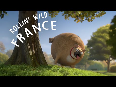 Youtube: Rollin' France - what if animals were round?