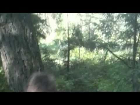 Youtube: BIGFOOT SIGHTING!!!