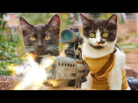 Youtube: Cats vs Zombies: KITTEN Rescue!