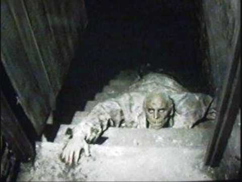 Youtube: Paranormal and Wierd Pictures