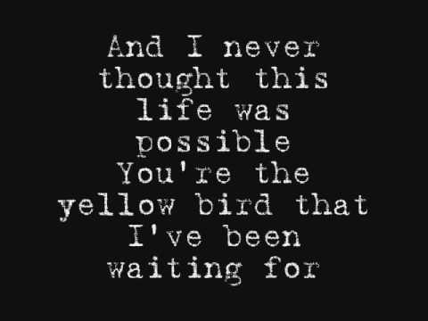 Youtube: Bright Eyes - Poison Oak
