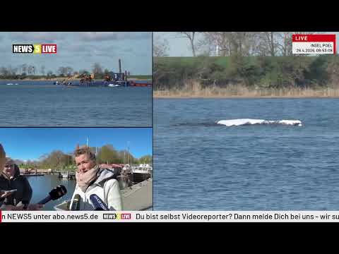 Youtube: Statement: Umweltminister Backhaus und Dr. Kristen Tönnies - 26.04.2026