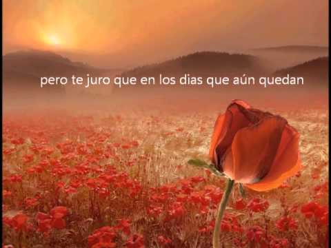 Youtube: Sting - Fields of Gold (subtitulos español)