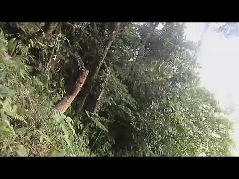 Youtube: beautifull in boca del toro