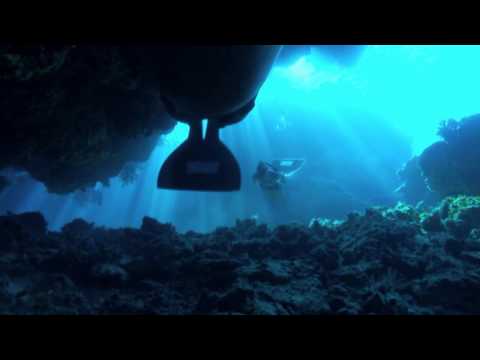 Youtube: DIE BUCHT "The Cove" - DVD Trailer 11.03.10