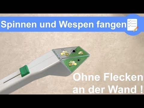 Youtube: Snapy Insektenfänger: Spinnen, Wespen, Fiegen etc. ganz einfach fangen - Top Geschenk unter 10 €