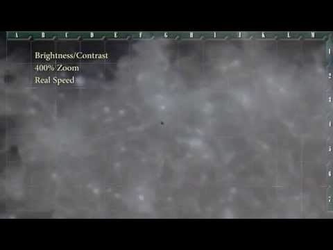 Youtube: 2 More UFO's (Objects) Filmed During The Eclipse