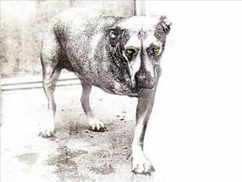 Youtube: Alice in Chains - God Am